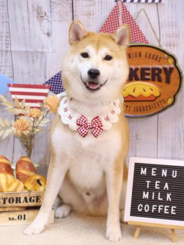 20240920リョウスケくん